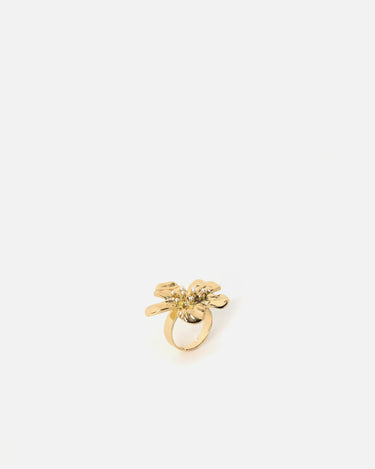 Nicola Ring 