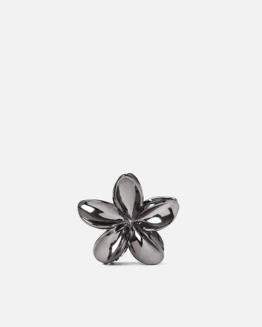 Zacari Clip 