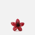 Zacari Clip 