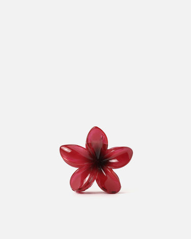 Zacari Clip 