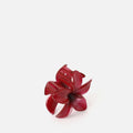 Zacari Clip 