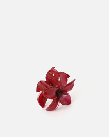 Zacari Clip 