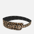 A Brown Belt 