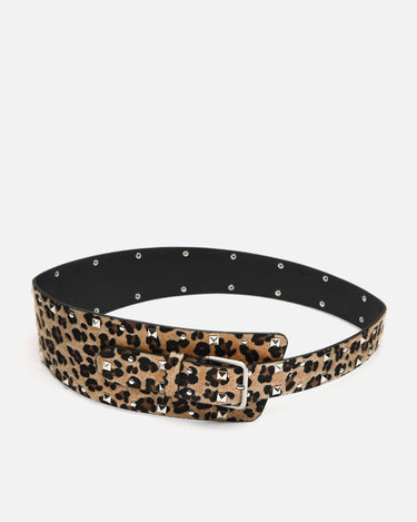 A Brown Belt 